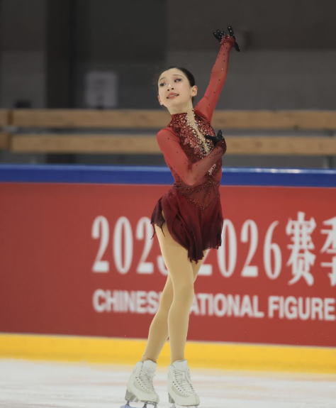 全面了解凤凰彩票平台的登录步骤